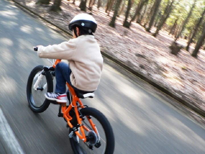 自転車保険 自転車を押してて