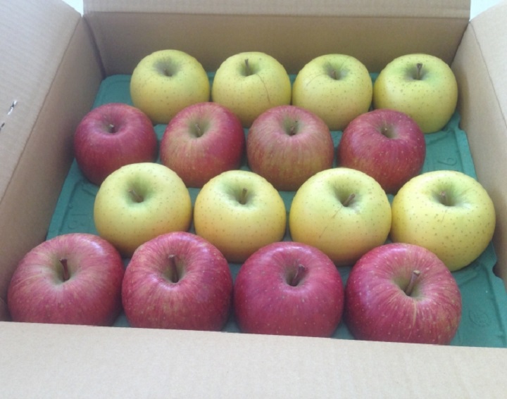 姉「我家は全員リンゴが大嫌い!何度も言ってるだろ!嫌がらせ?喧嘩を売ってるのか」夫『・・』義実家から贈られるリンゴが有り難迷惑 で→実は